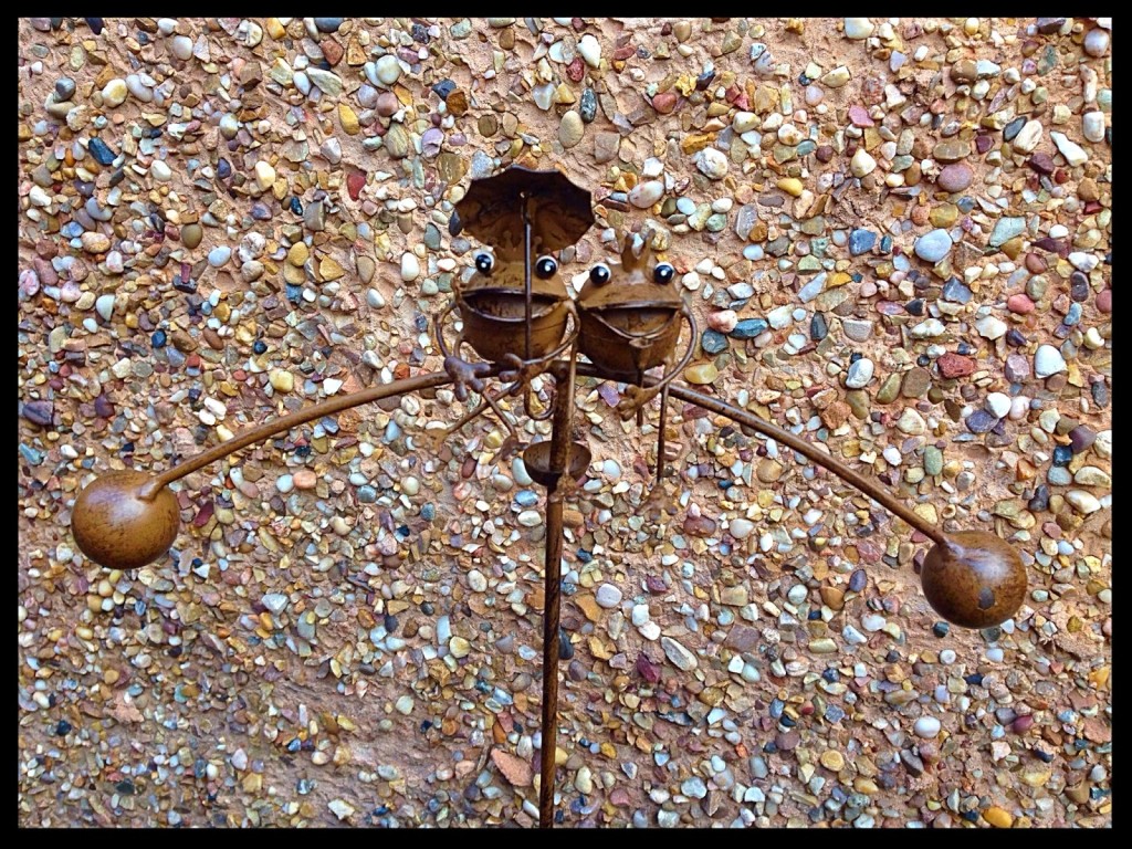 gardens2you 009