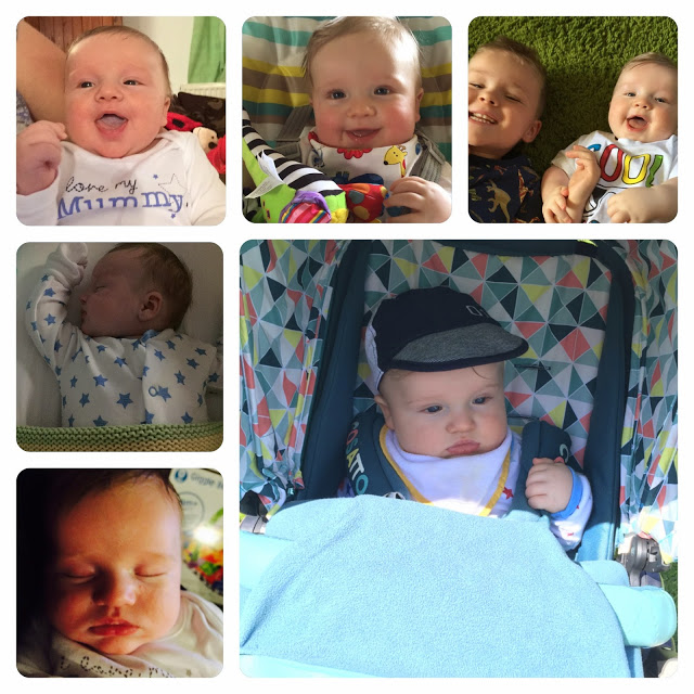 6months2