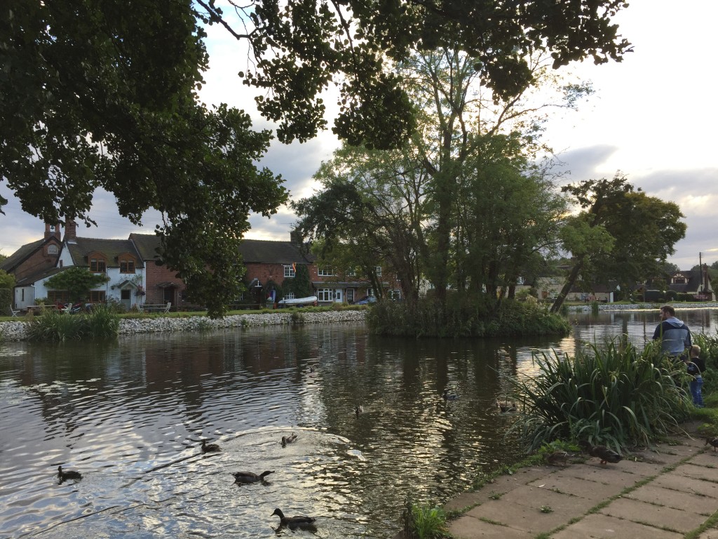 feeding the ducks1