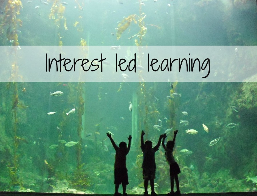 interest led learning