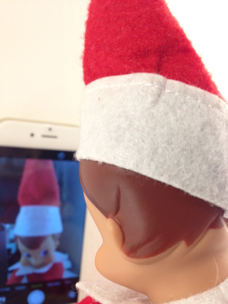 Elfie Selfie