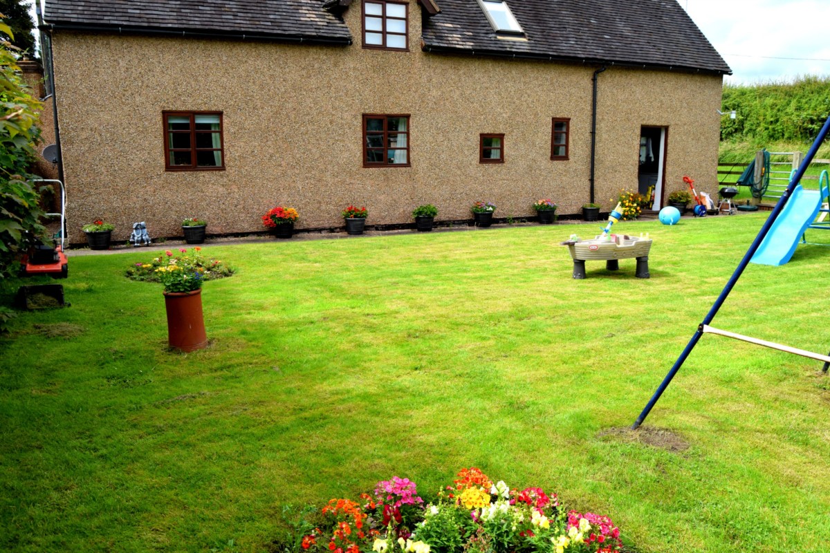garden1