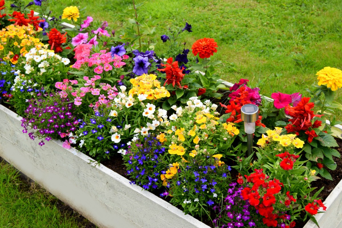 planter11