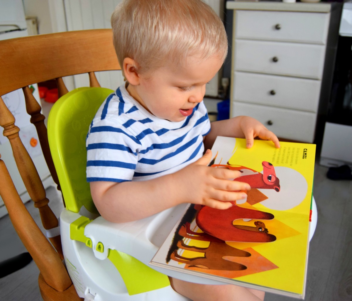little one reading a pop up book