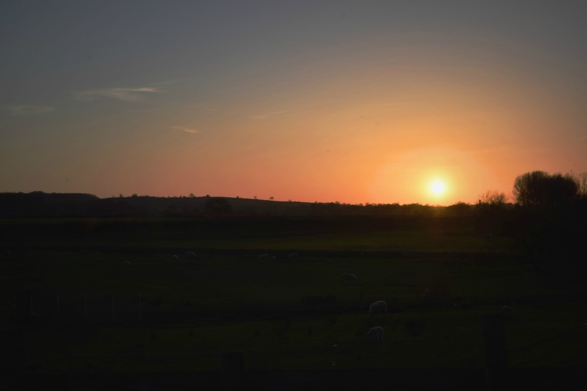 Sunset Monday Morning Blog Club 4/7/16