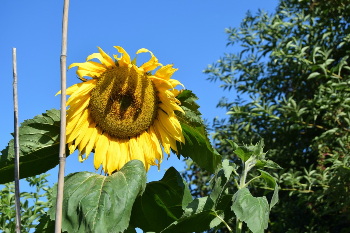 Monday Morning Blog Club 8/8/16