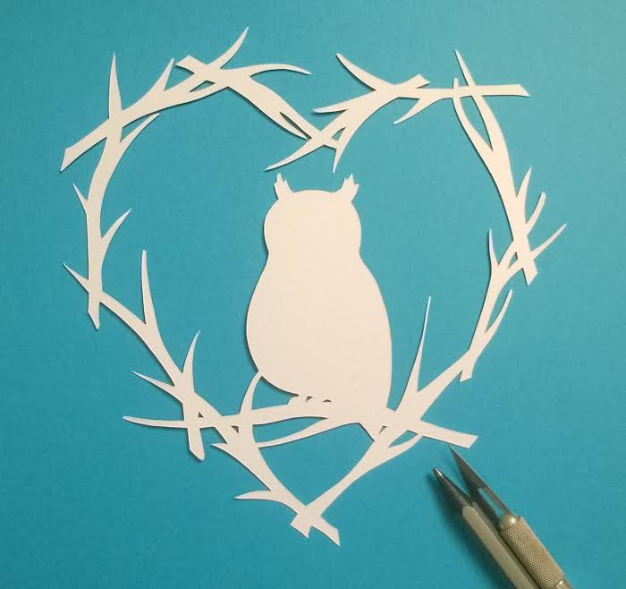 owl