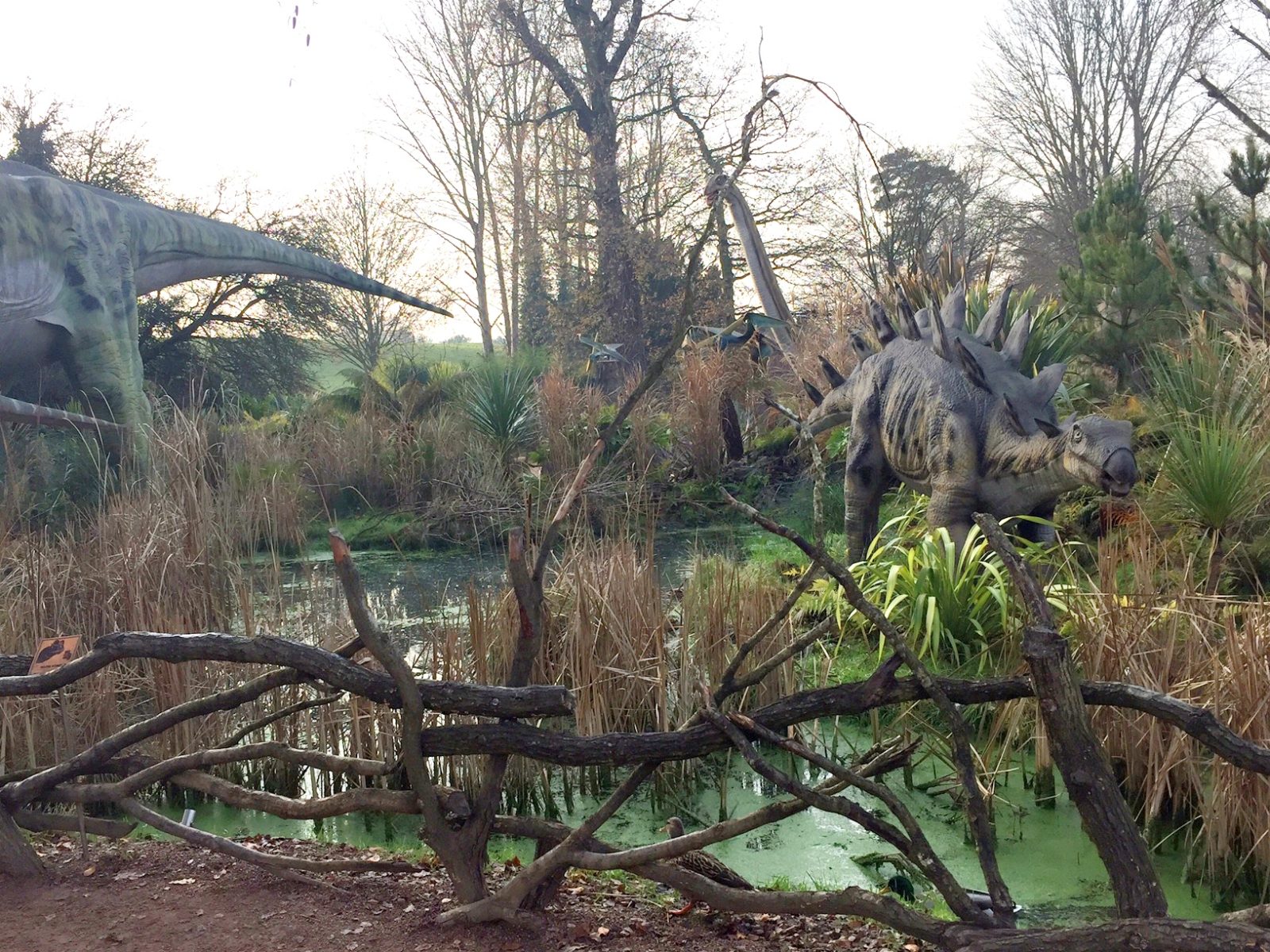 safari-dinosaur-4