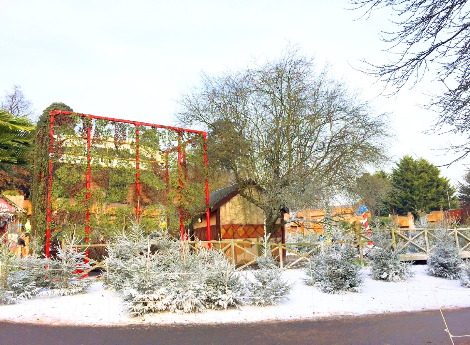 safari-snow-1