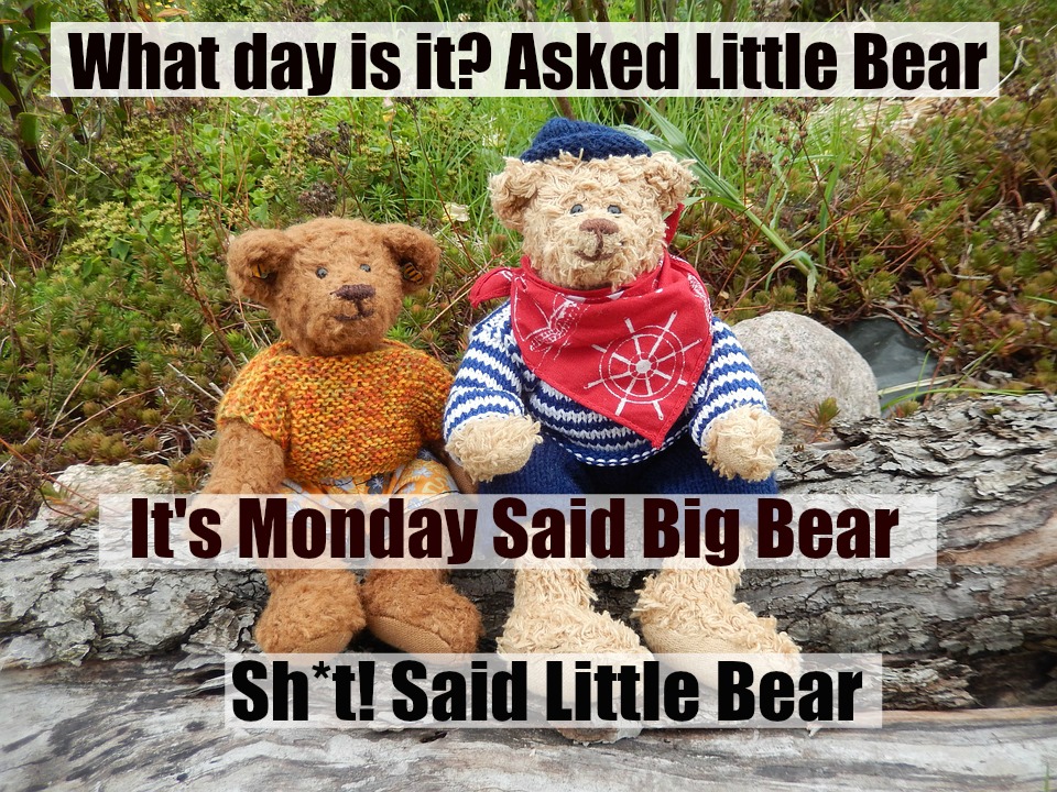 teddy bears