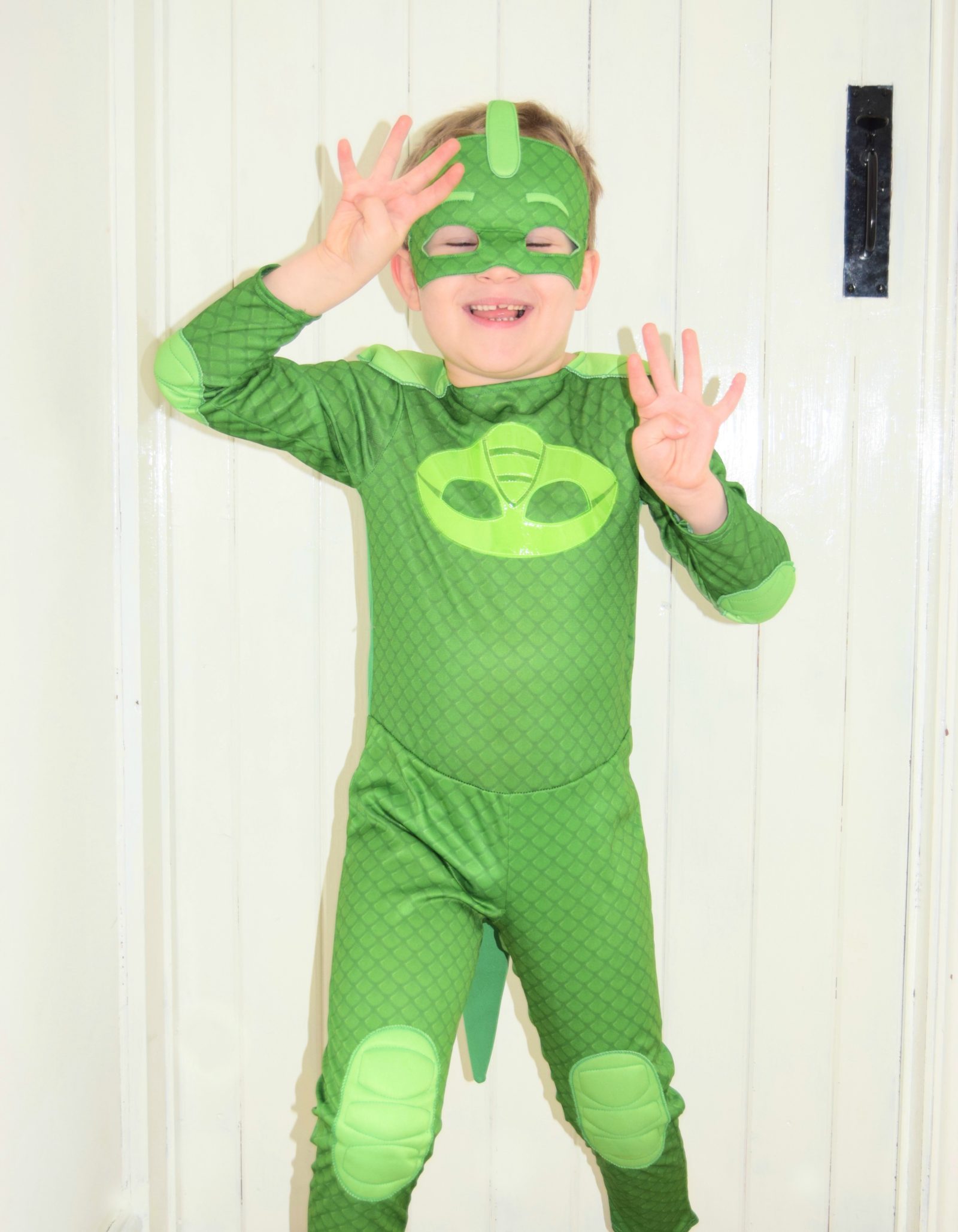 gekko costume