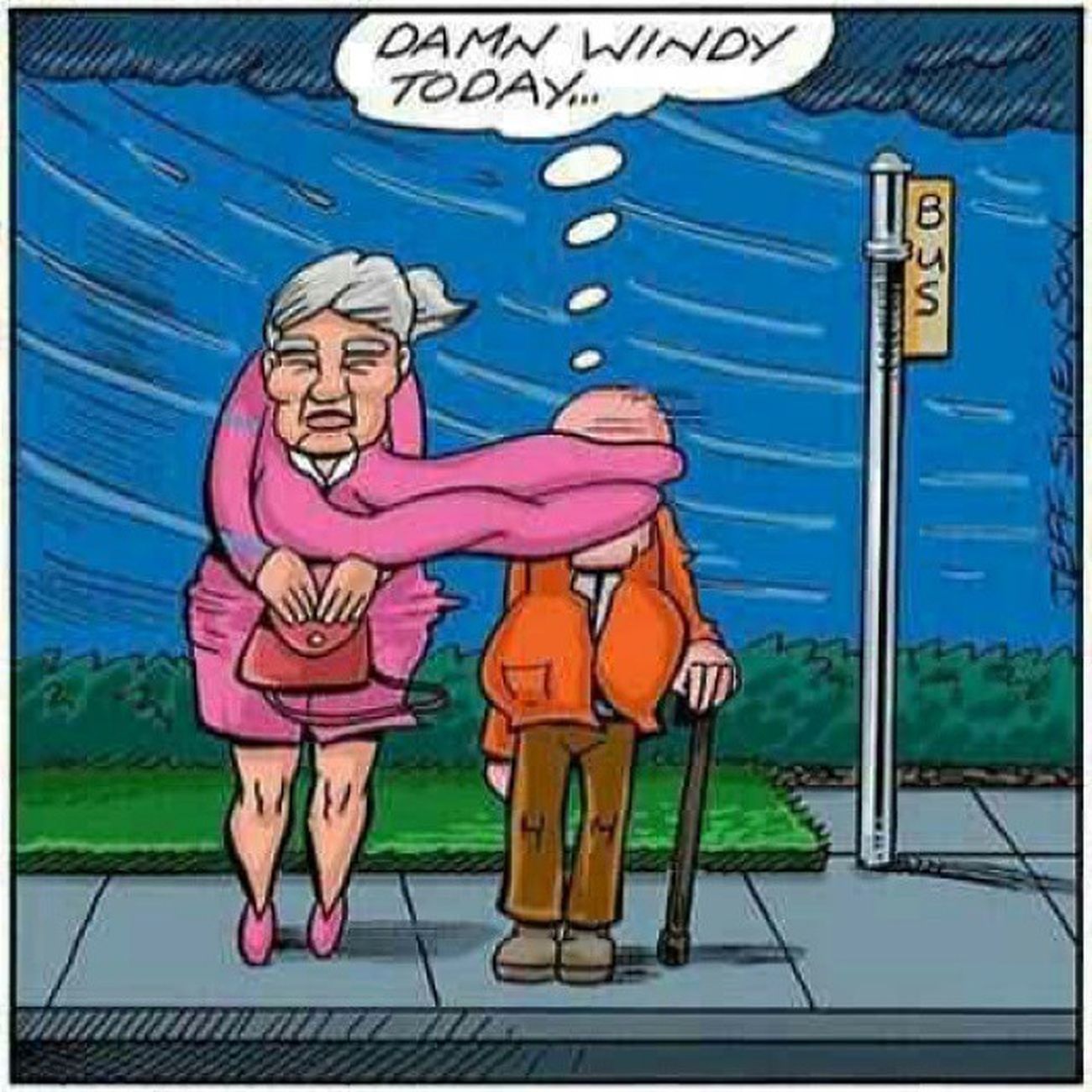 windy
