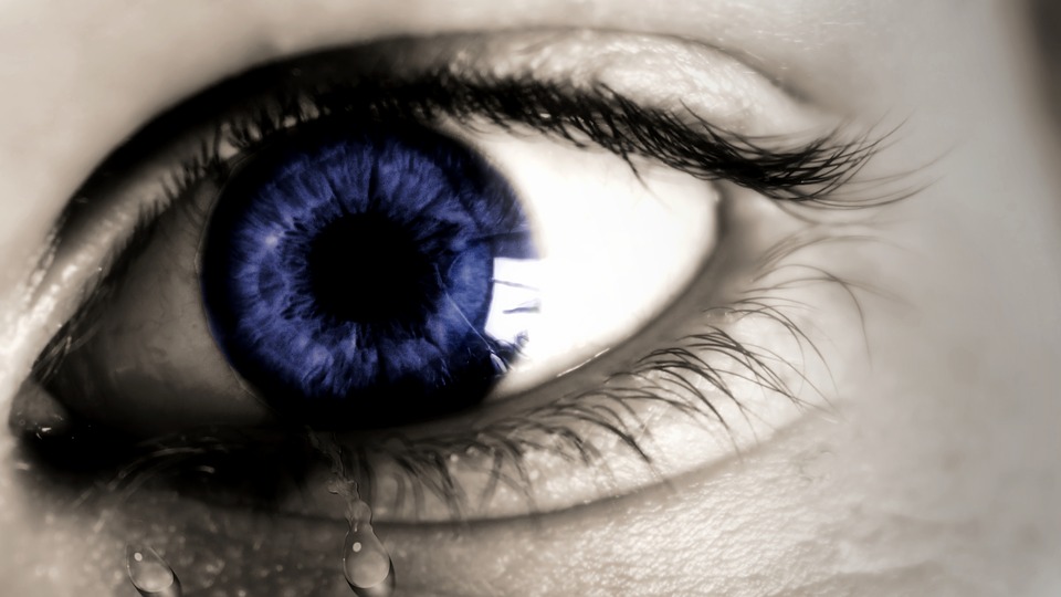 eye 1210172 960 720