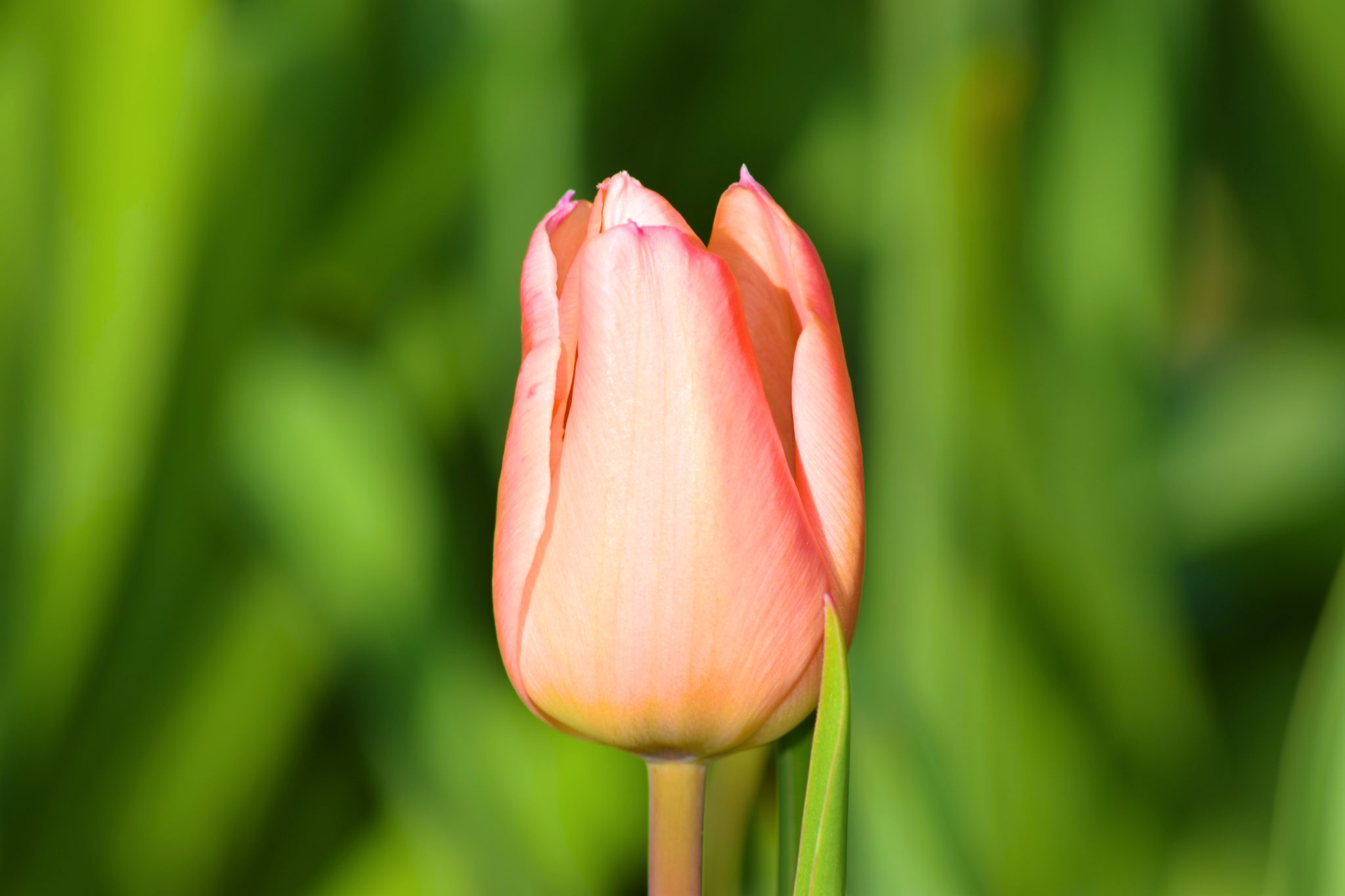 Monday Morning Blog Club 26/3/18