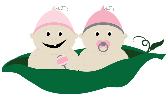 twins 1147616 960 720 1
