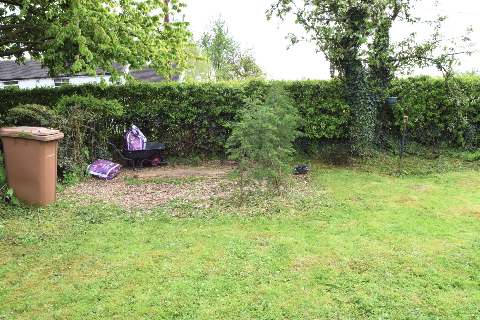 Corner of garden 3