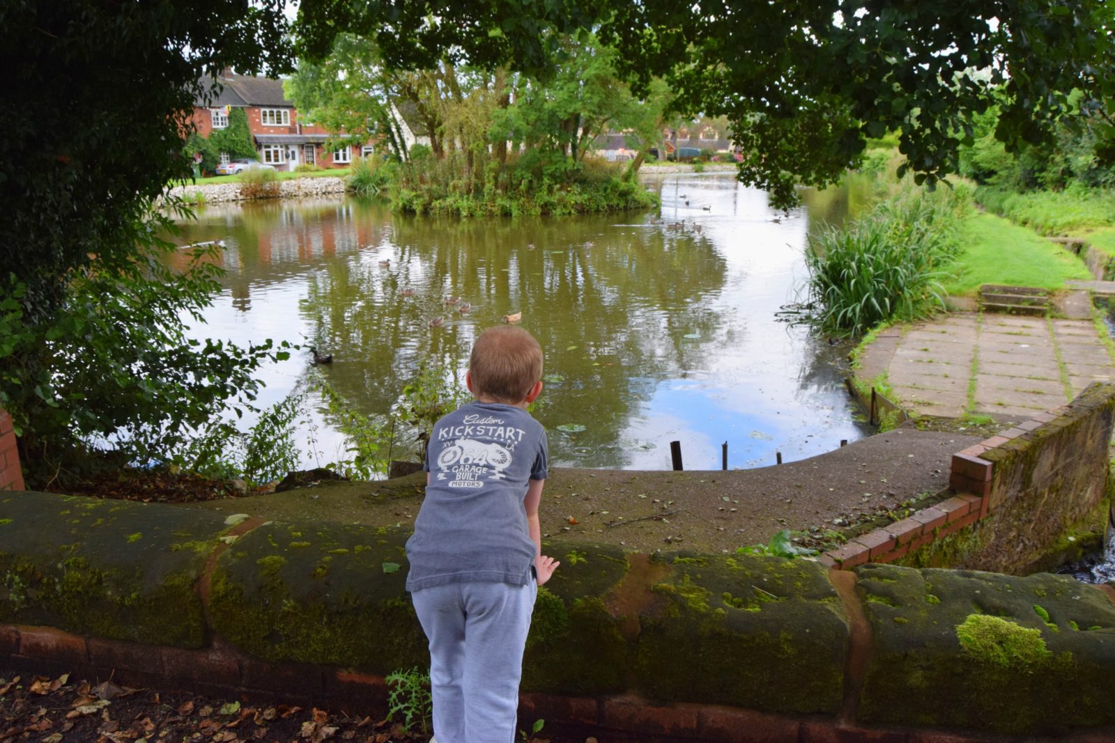 sunday walk 6