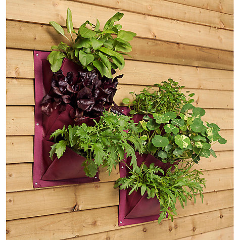 wall hanging planters