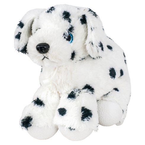 dalmation