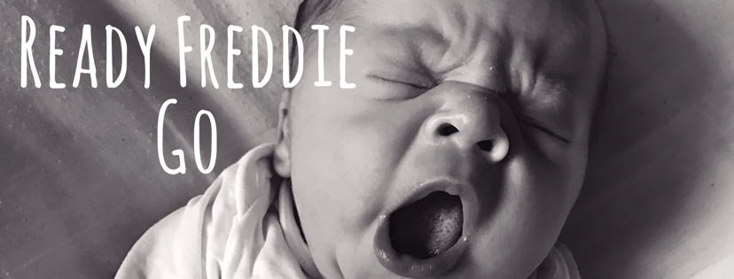 ready freddie