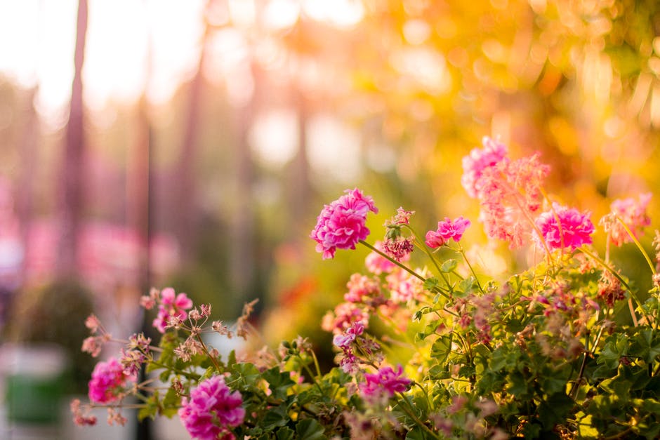 Is Your Outside Space Going To Waste?