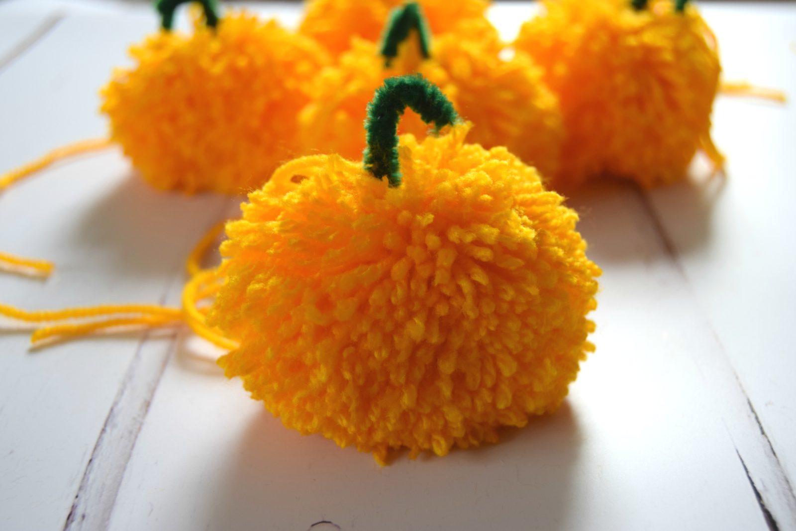 pumpkin pom pom 5
