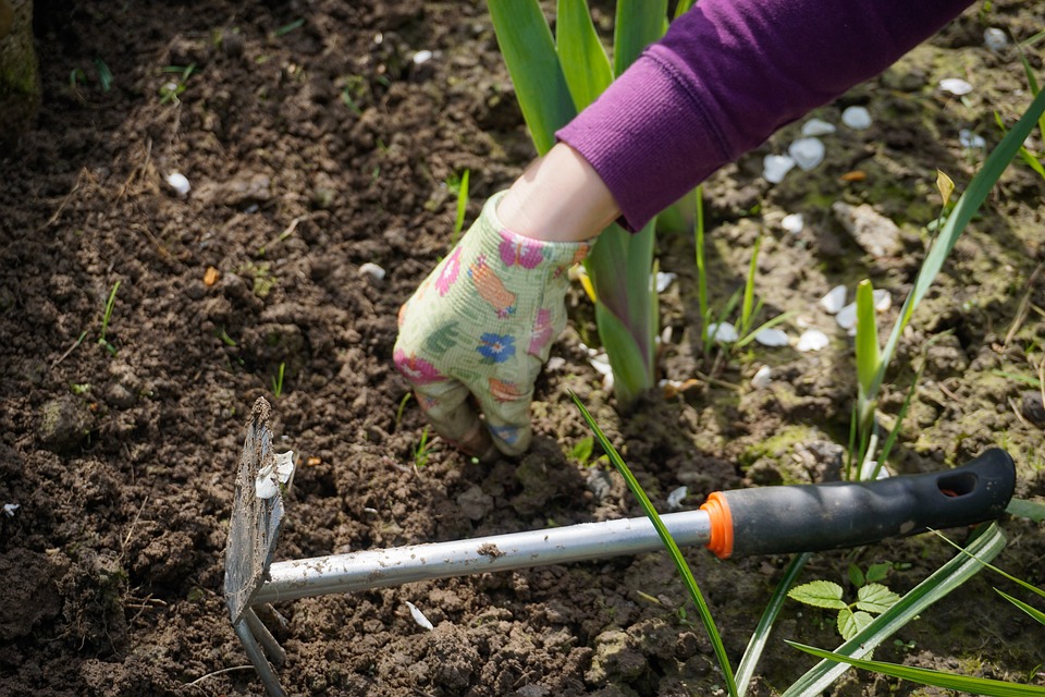 The Surprising Health Benefits Of Gardening