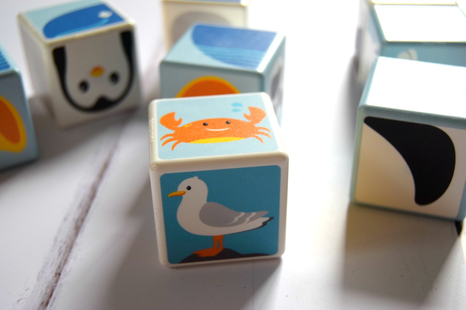 magicube blocks