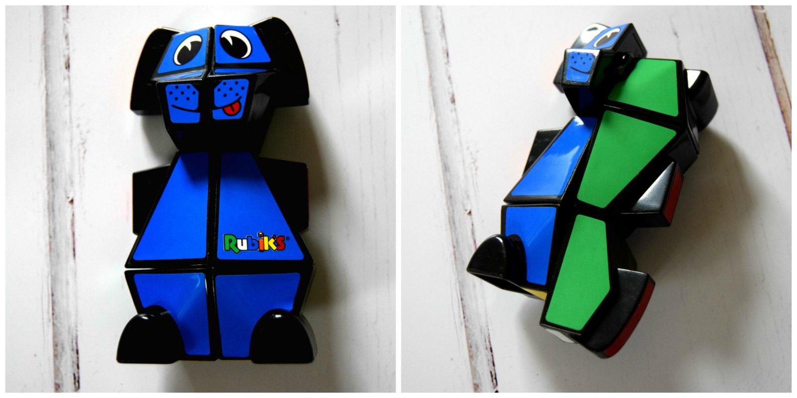 rubiks junior dog