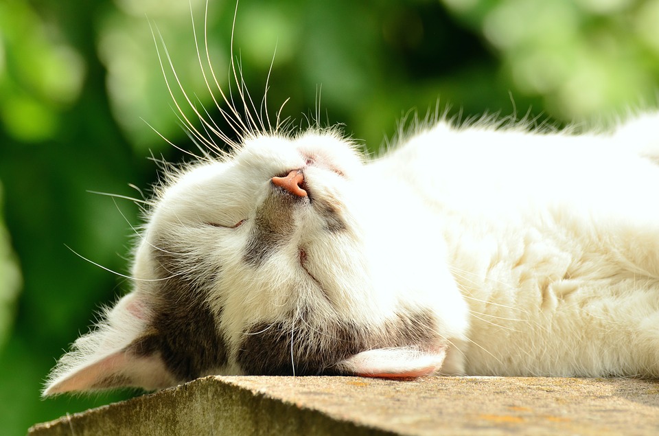 Are You Running On Empty? Effective Remedies For Exhaustion