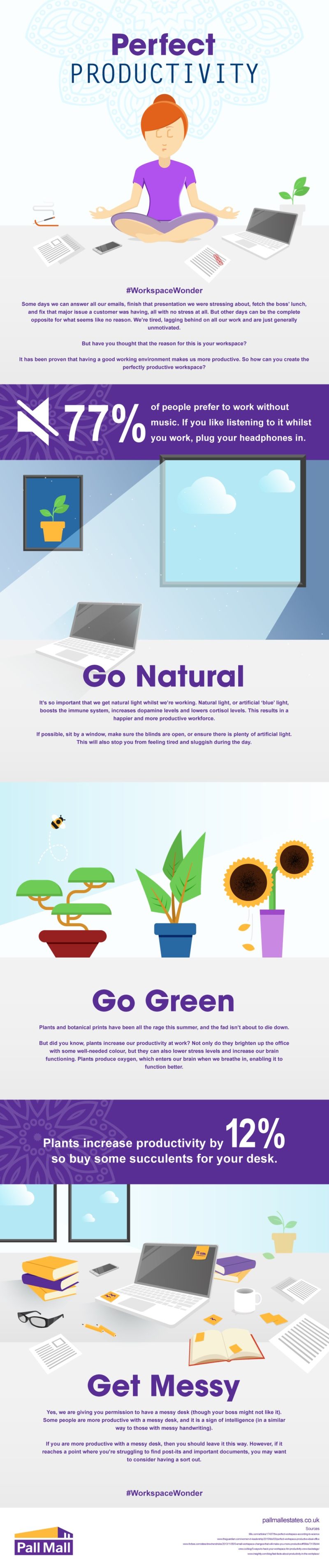 Productivity working from home infographic