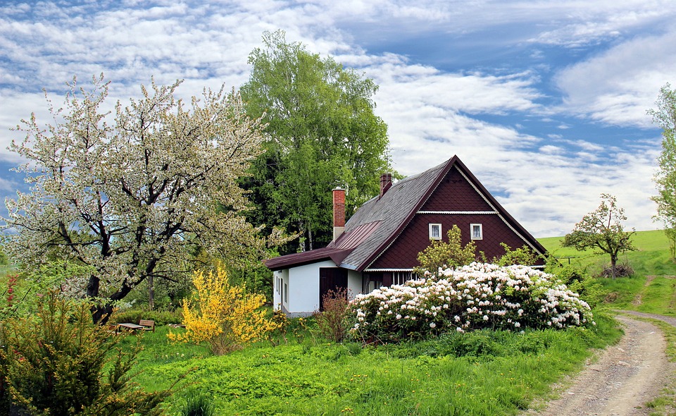 A detached cottage in the countryside. Buying a house.
