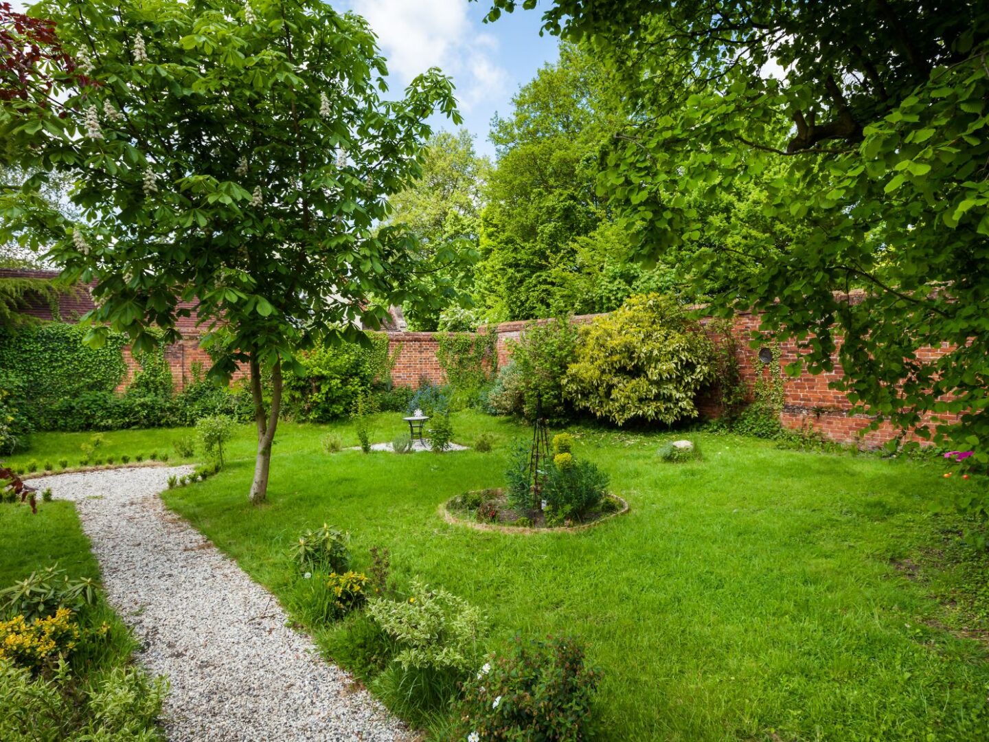 Trees in garden