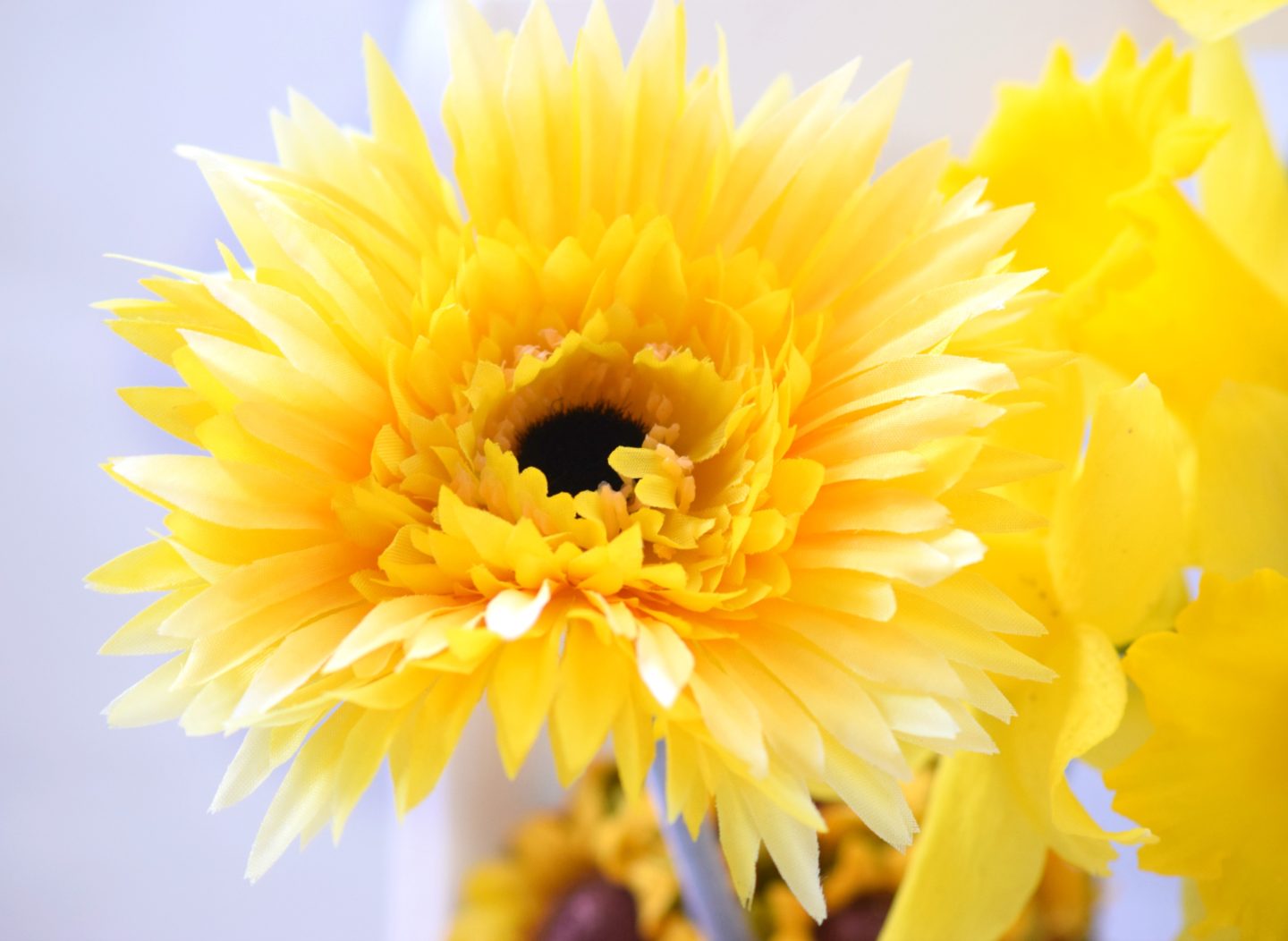 Spring craft 10