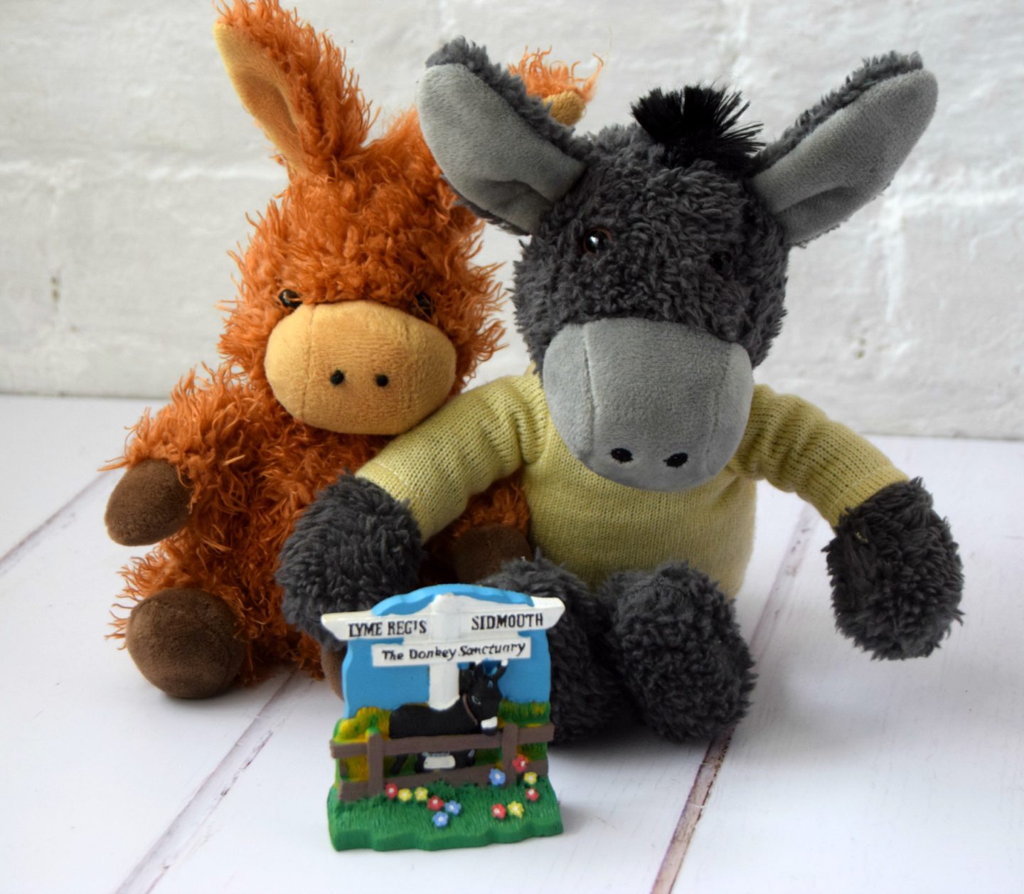 The donkey sanctuary merchandise