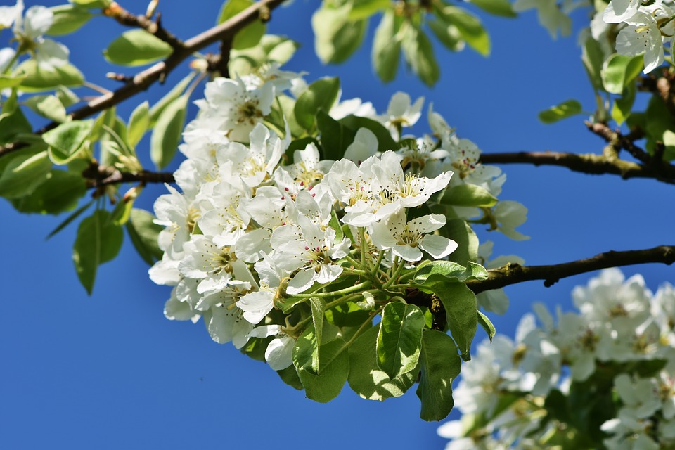 Monday Morning Blog Club 23/4/18