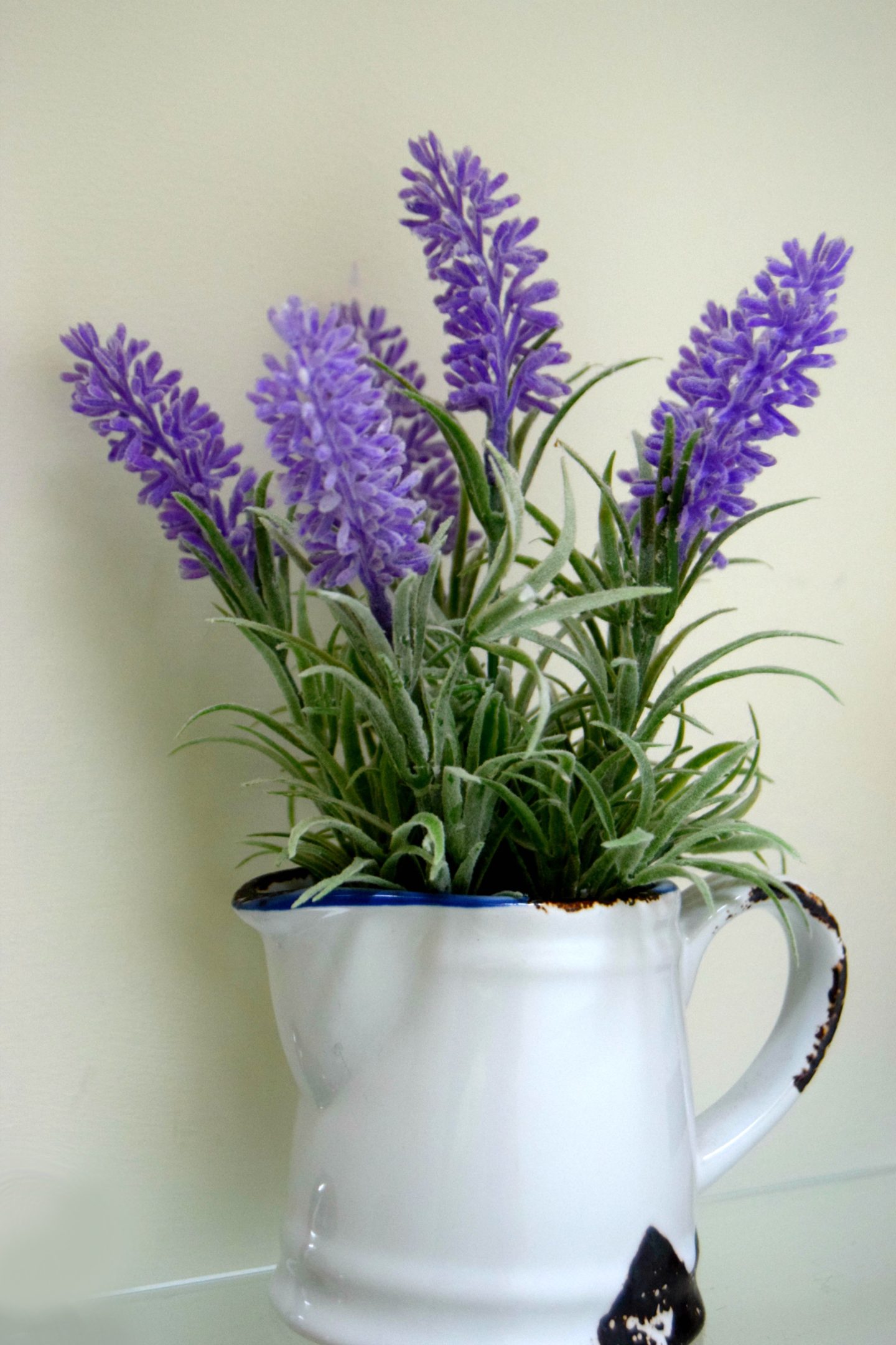 lavendar