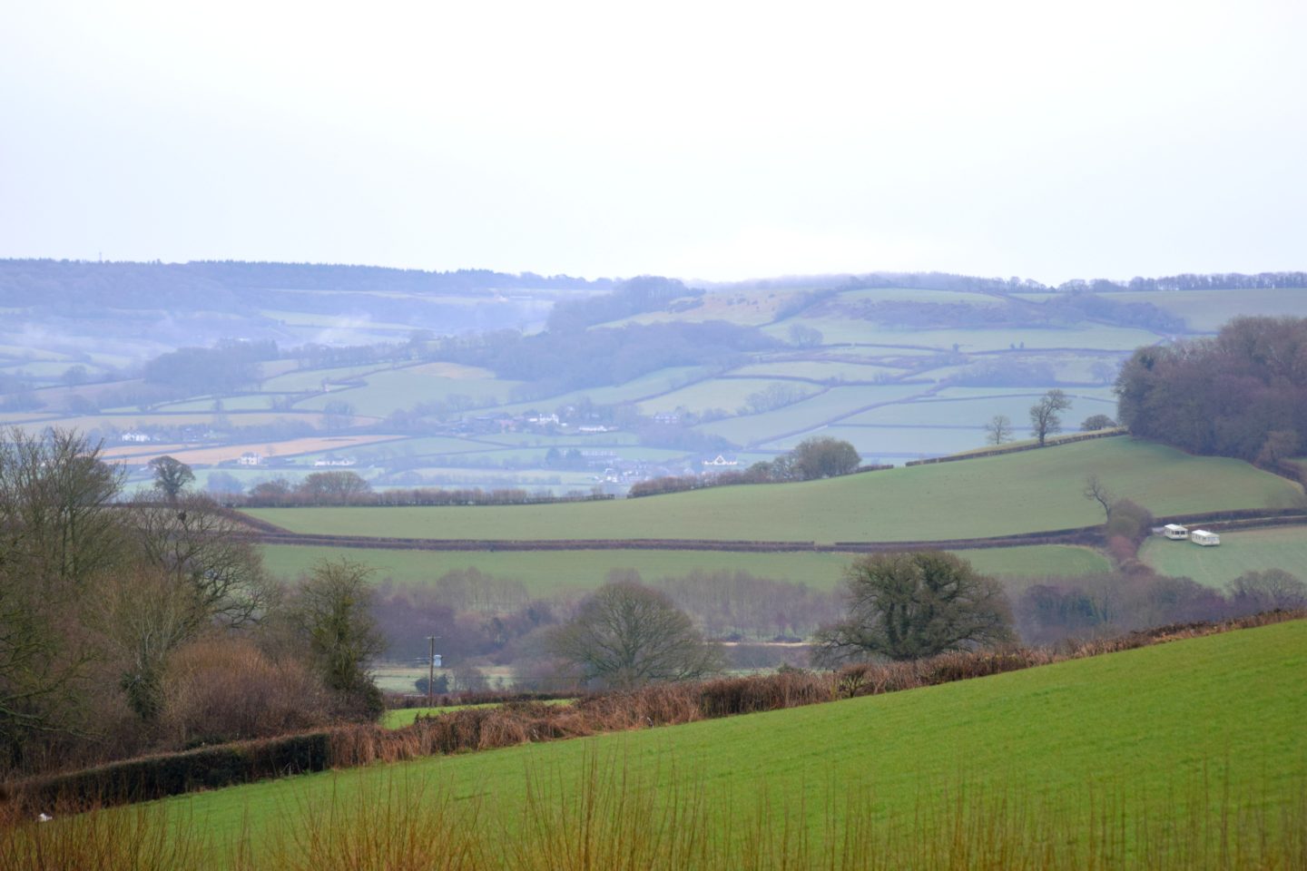view from back garden