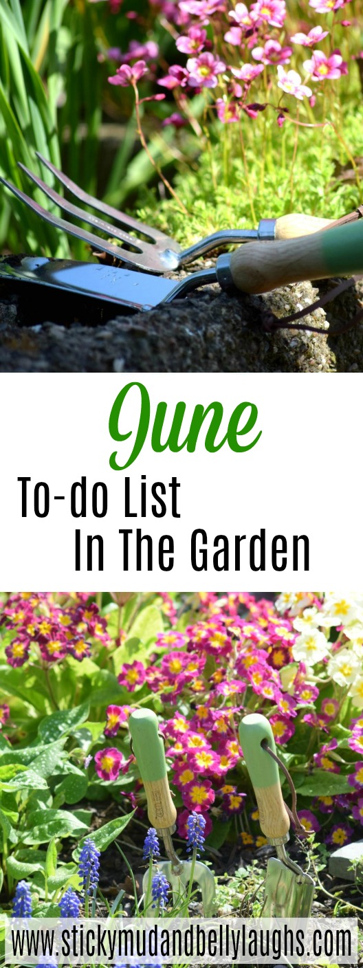 Things to do in the garden in June. #gardeningtips #gardeningmonthbymonth #greenfingers #gardeningtodolist
