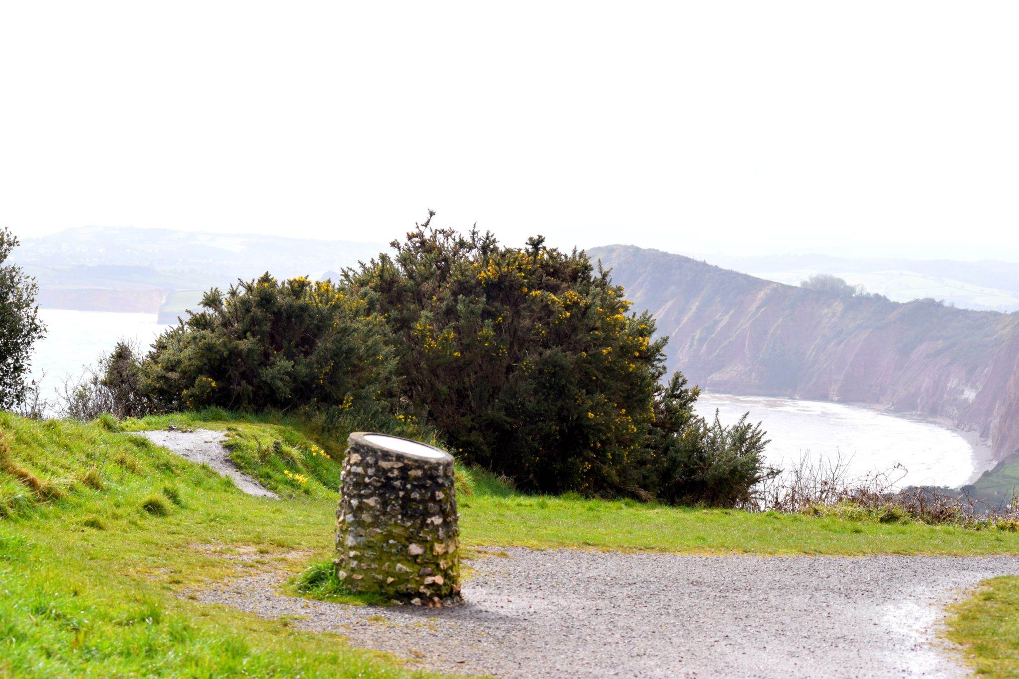 Fab Views At Salcombe Hill National Trust Walk
