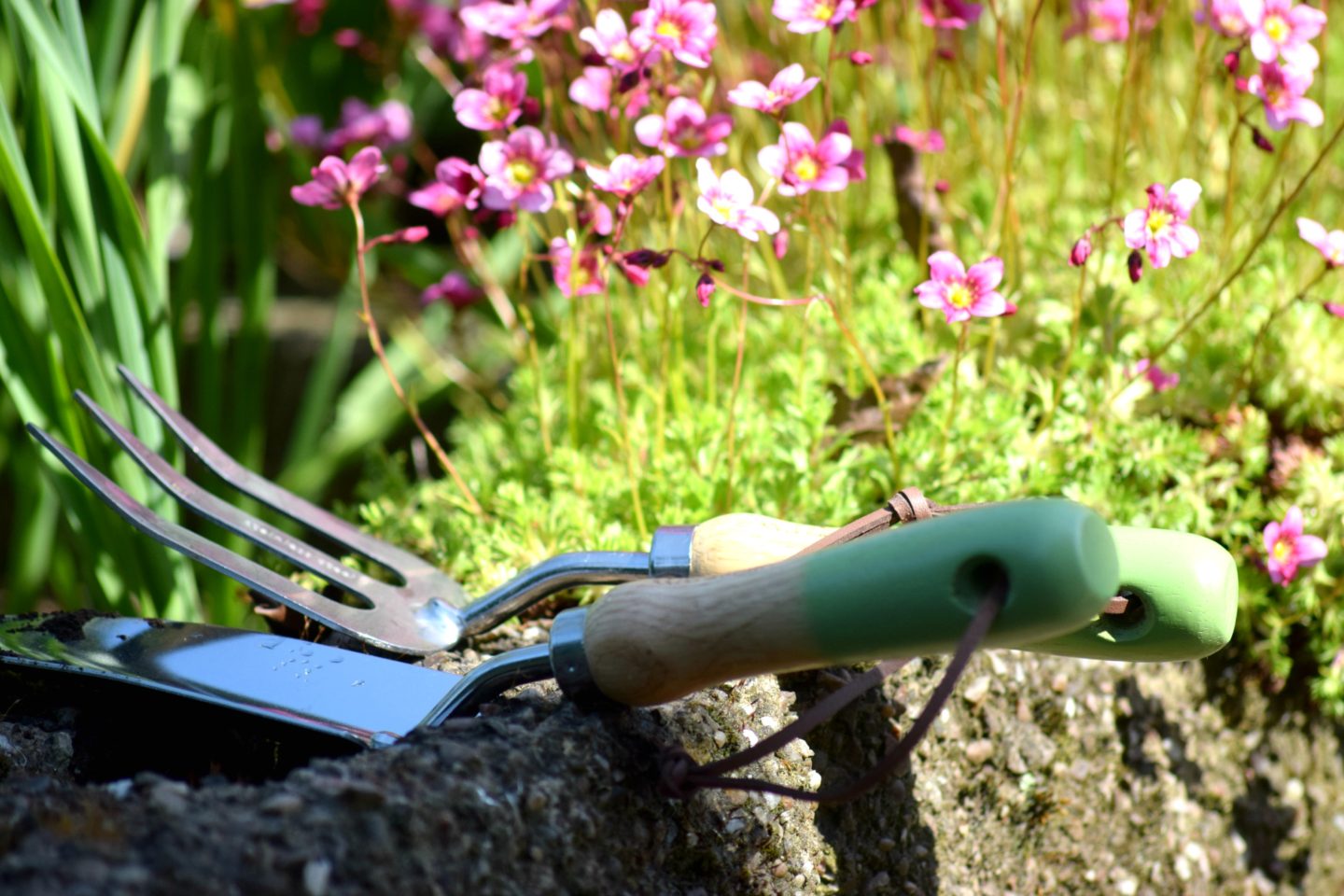 Fork and trowel. Gardening in June