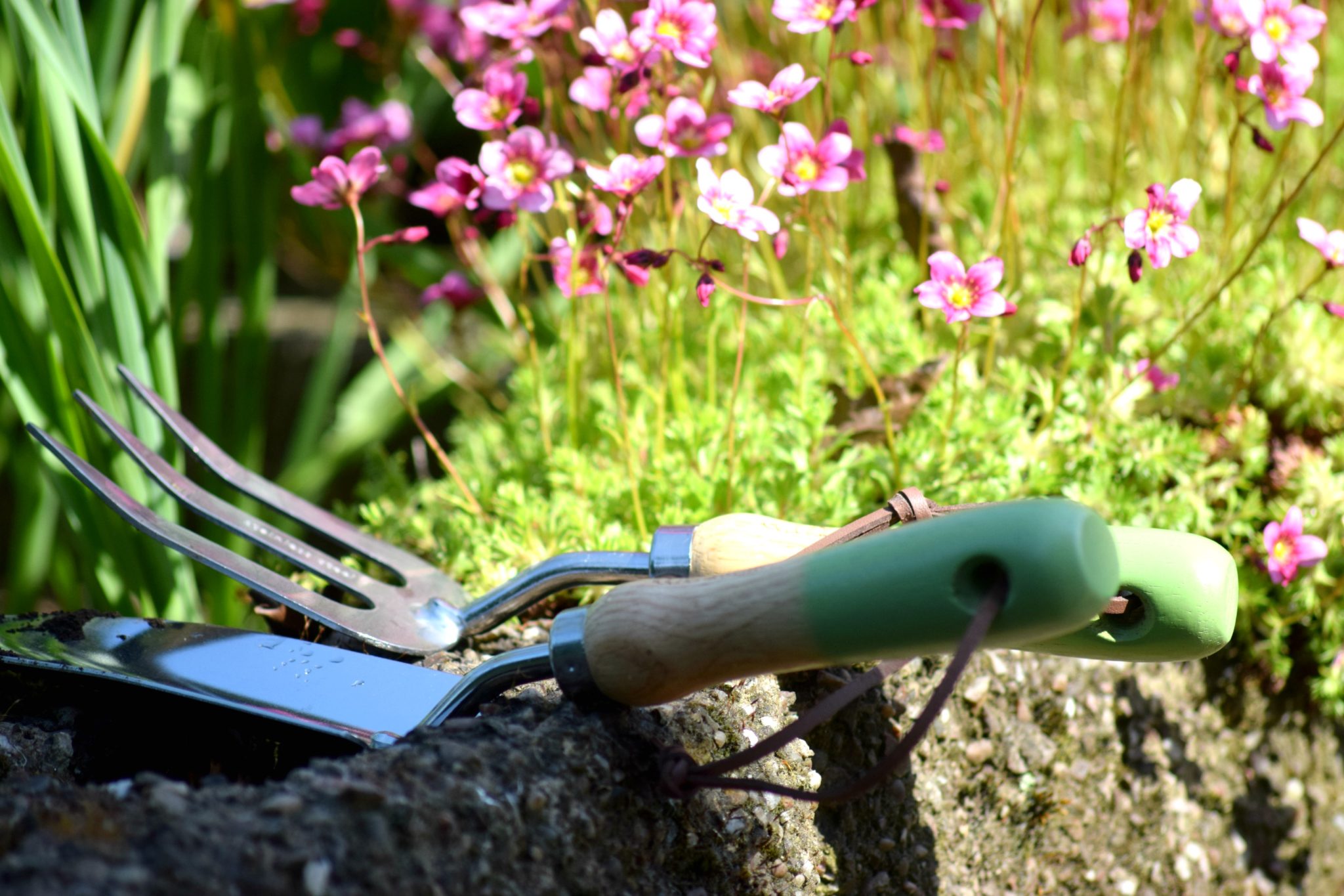 Things to do in the garden in May. Gardening tools.