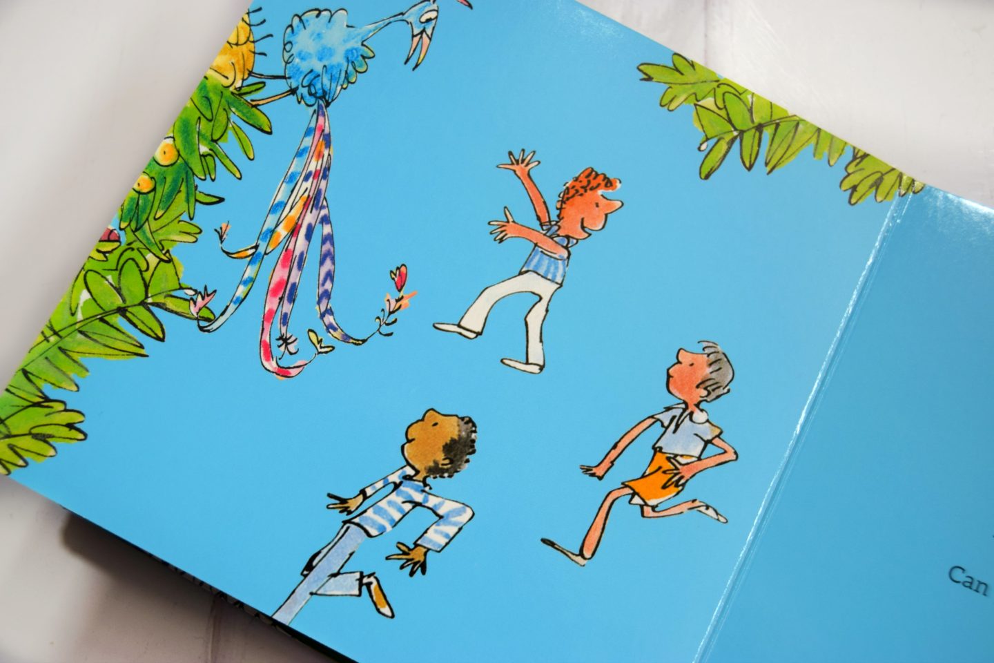 Roald Dahl's 123 toddler book. Picture books for toddlers.