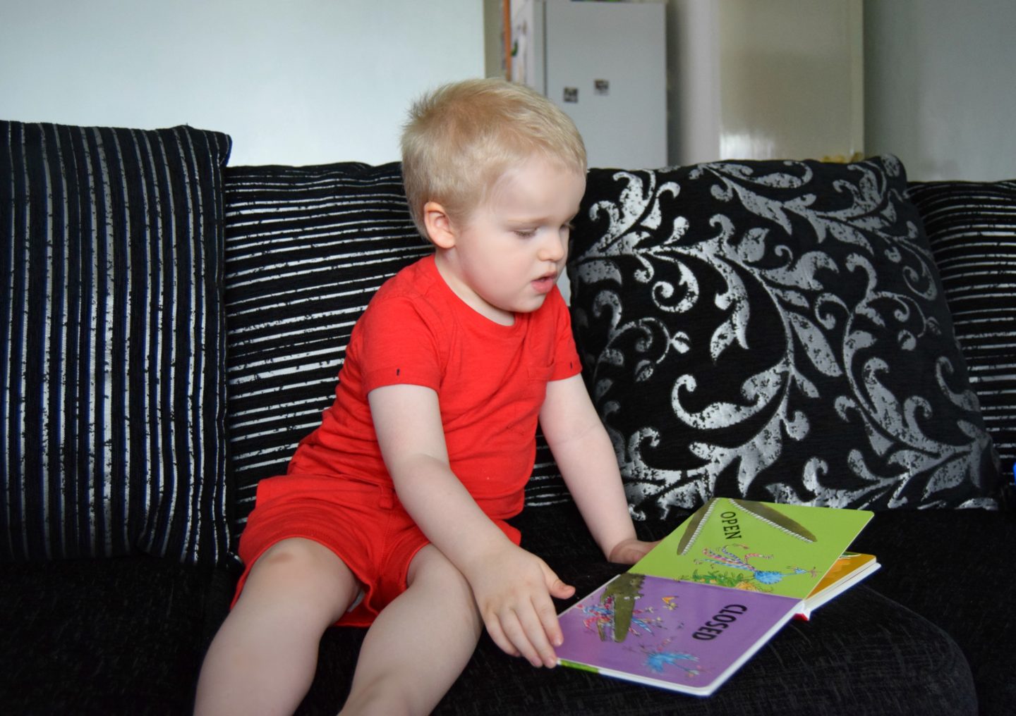 roald dahl toddler book 1