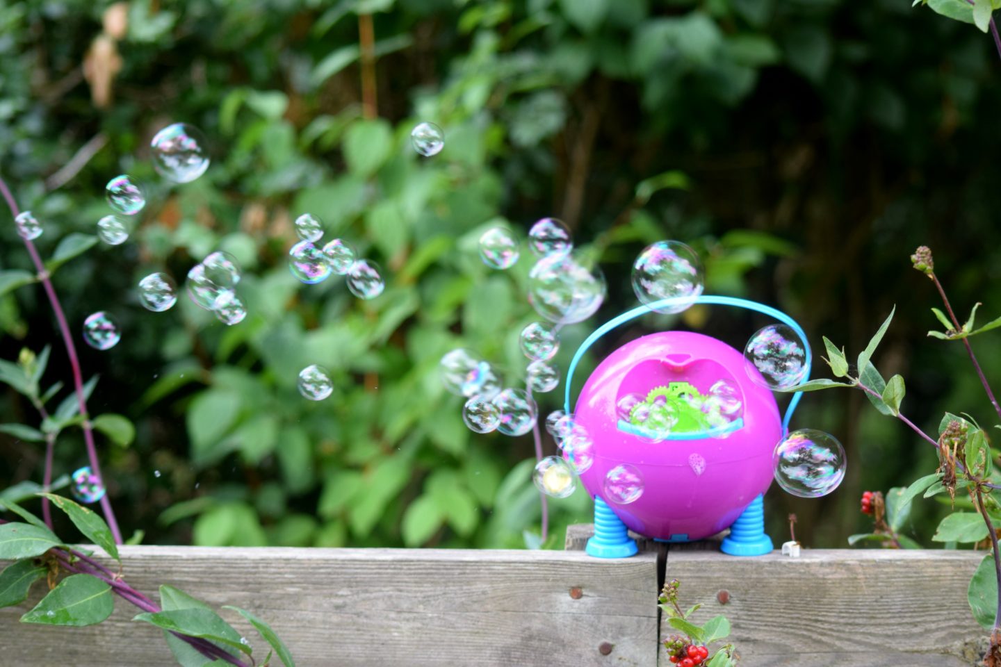 Bubble blower