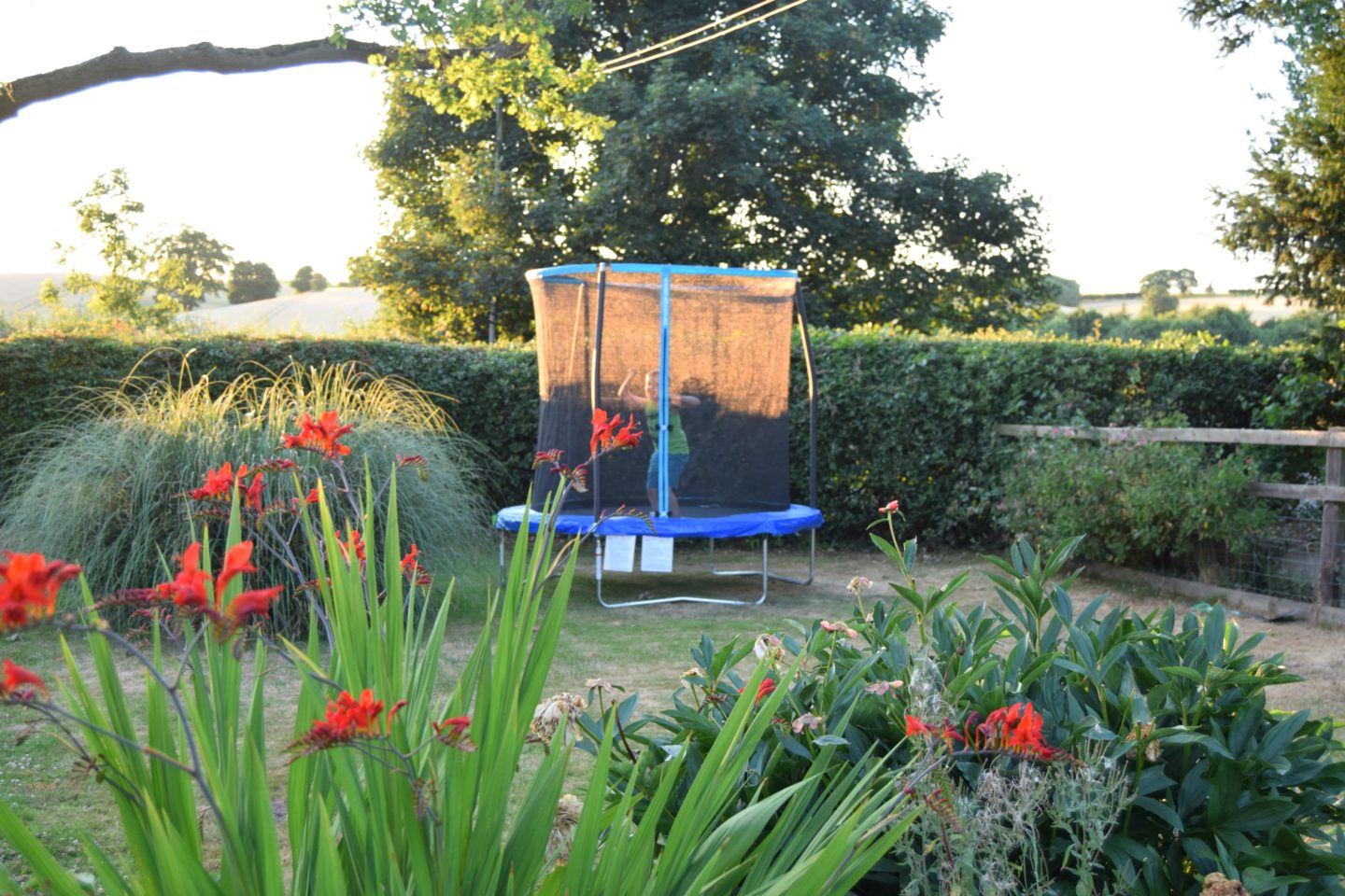 Playing on the trampoline one evening