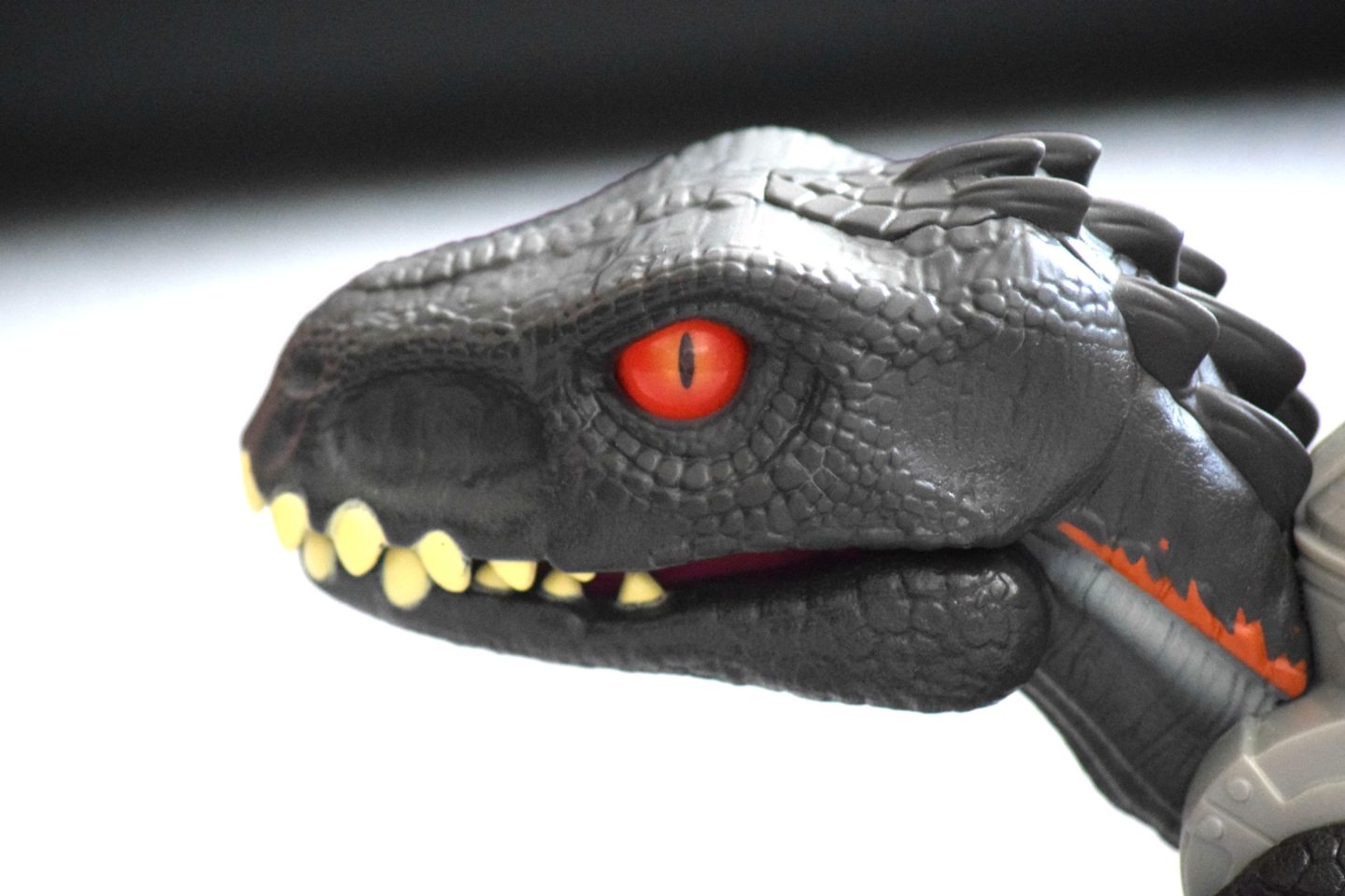 TREX