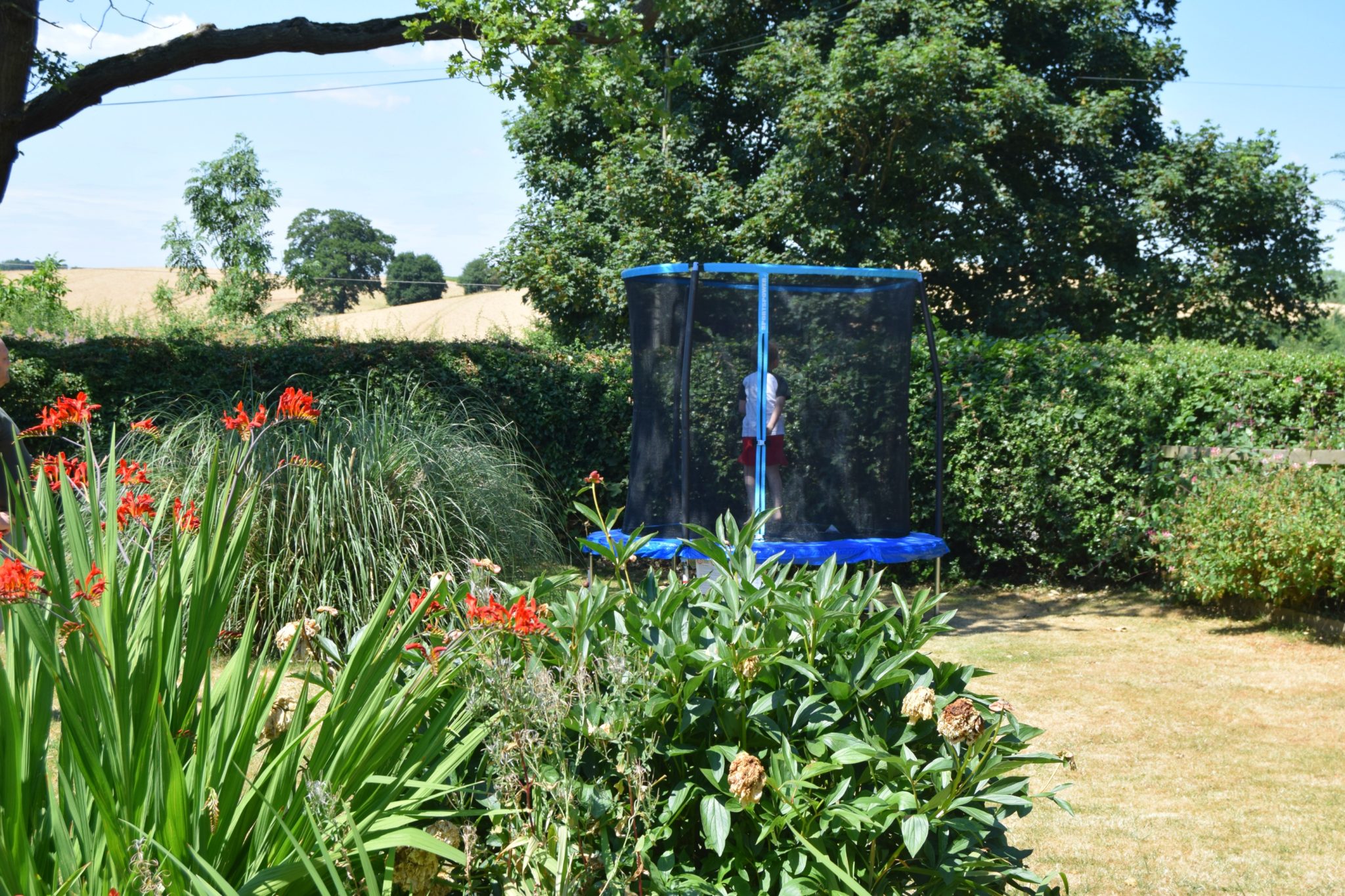 Trampoline 3