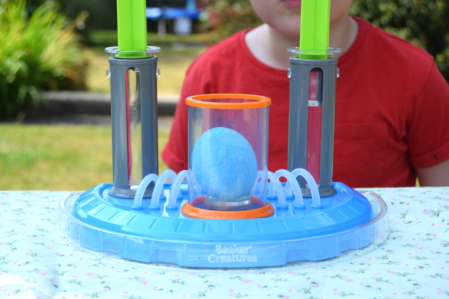 blue egg