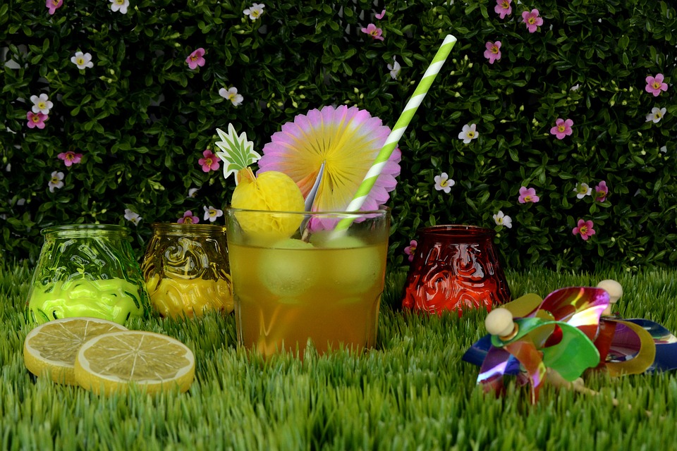 garden party 2